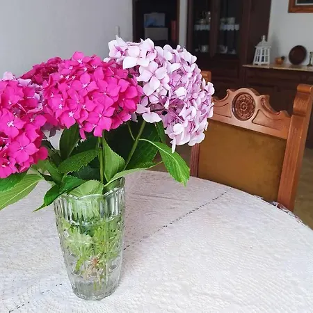 Accogliente Appartamento Indipendente Tra I Monti E Vicino Al Mare In Val Pennavaire: Felici Nel Verde! Holiday home *