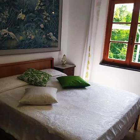 Accogliente Appartamento Indipendente Tra I Monti E Vicino Al Mare In Val Pennavaire: Felici Nel Verde!